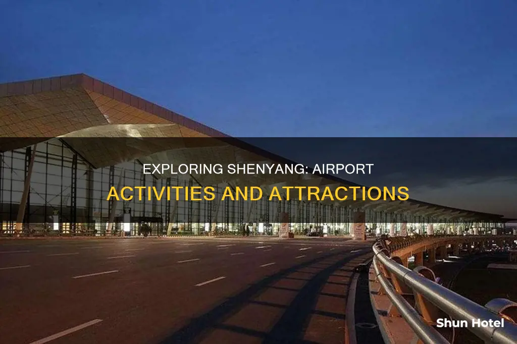what to do in shenyang airport