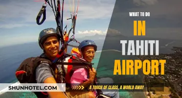 Exploring Tahiti's Airport: Activities and Attractions