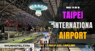 Exploring Taipei International Airport: Top Activities and Hidden Gems