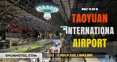 Exploring Taoyuan International Airport: Top Activities and Hidden Gems
