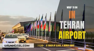 Exploring Tehran Airport: Things to Do and See