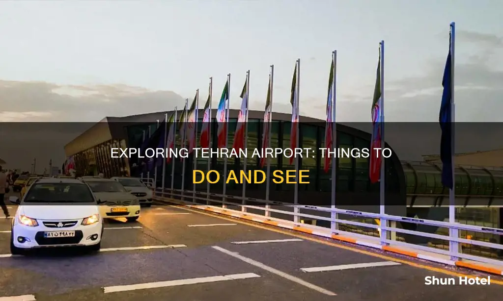 what to do in tehran airport