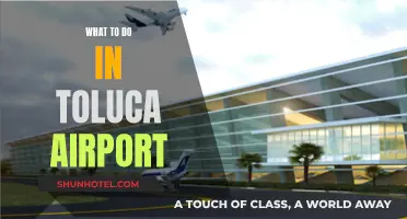 Exploring Toluca Airport: Activities and Nearby Attractions