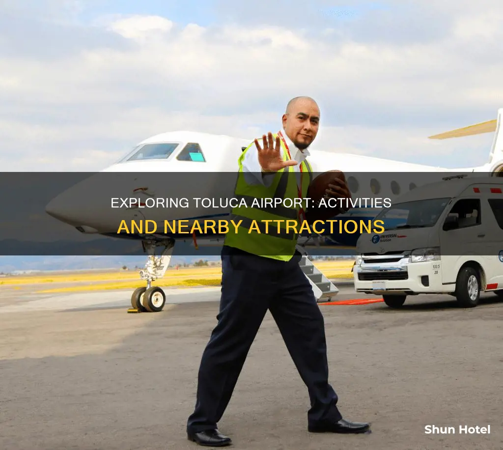 what to do in toluca airport