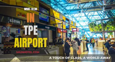 Exploring Taipei: A Guide to Taoyuan Airport Layover