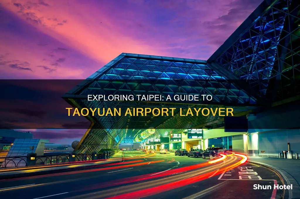 what to do in tpe airport