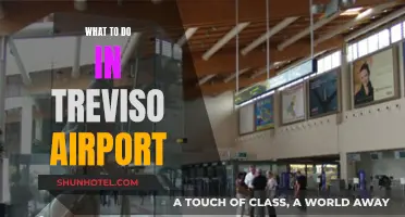 Exploring Treviso: Airport Activities and Adventures