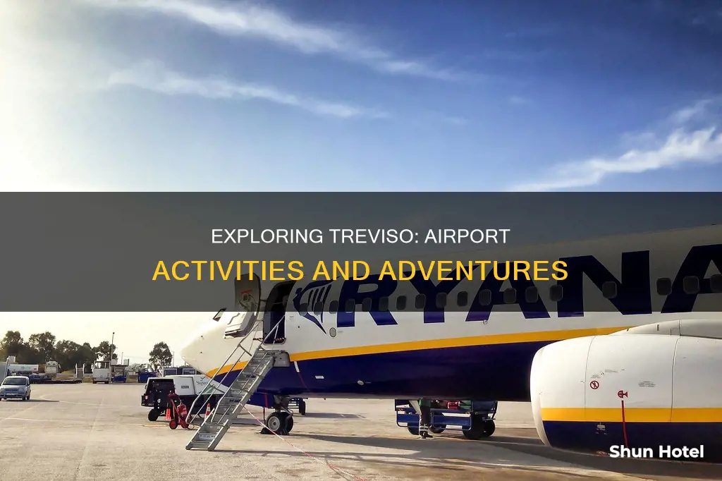 what to do in treviso airport