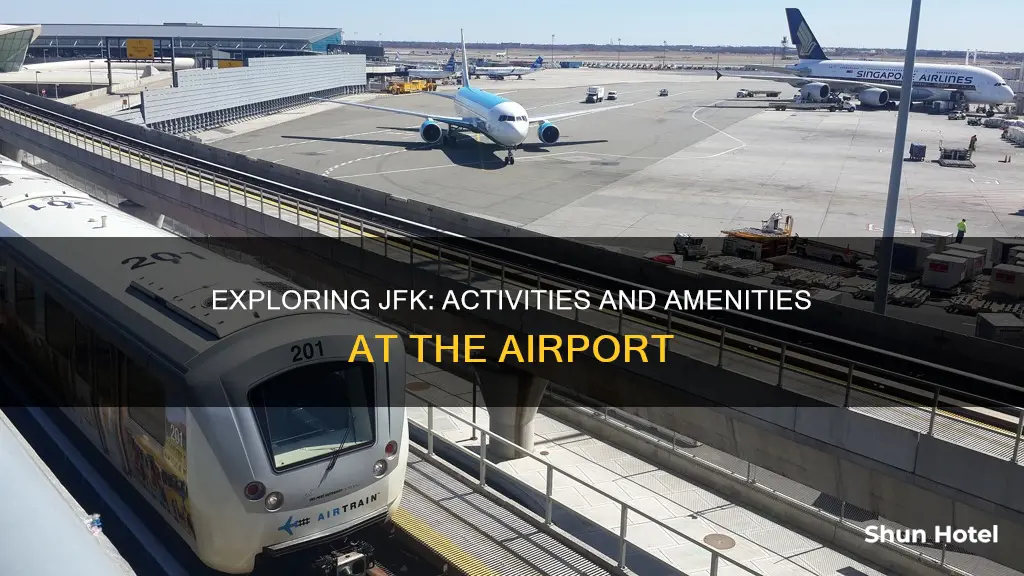 what to do inside jfk airport