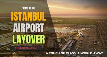 Exploring Istanbul During a Layover: A Quick Guide