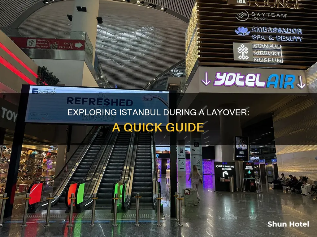 what to do istanbul airport layover