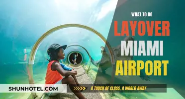 Miami Airport Layover: Quick Guide to a Fun Stopover