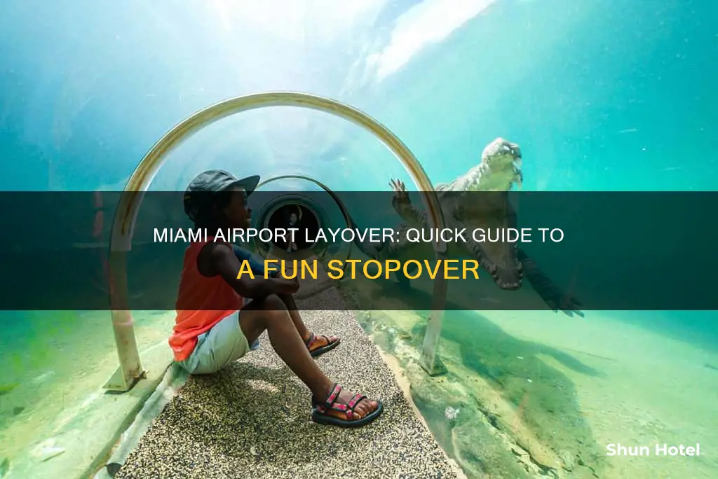 what to do layover miami airport