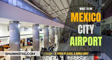 Exploring Mexico City Airport and Beyond