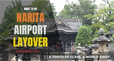 Exploring Narita Airport and Beyond During a Layover
