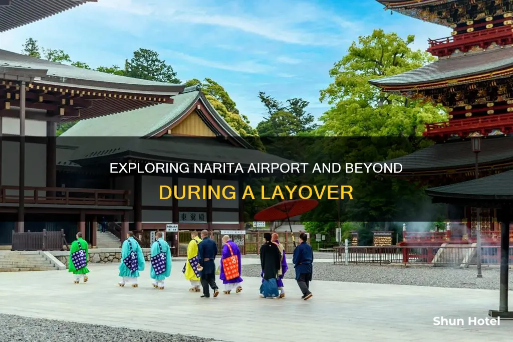 what to do narita airport layover