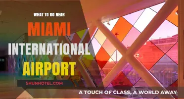 Explore Miami: Top Attractions Near the International Airport