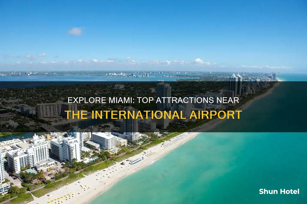 what to do near miami international airport