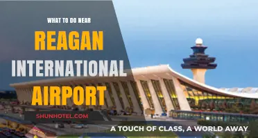 Explore D.C.: Top Activities Near Reagan International Airport