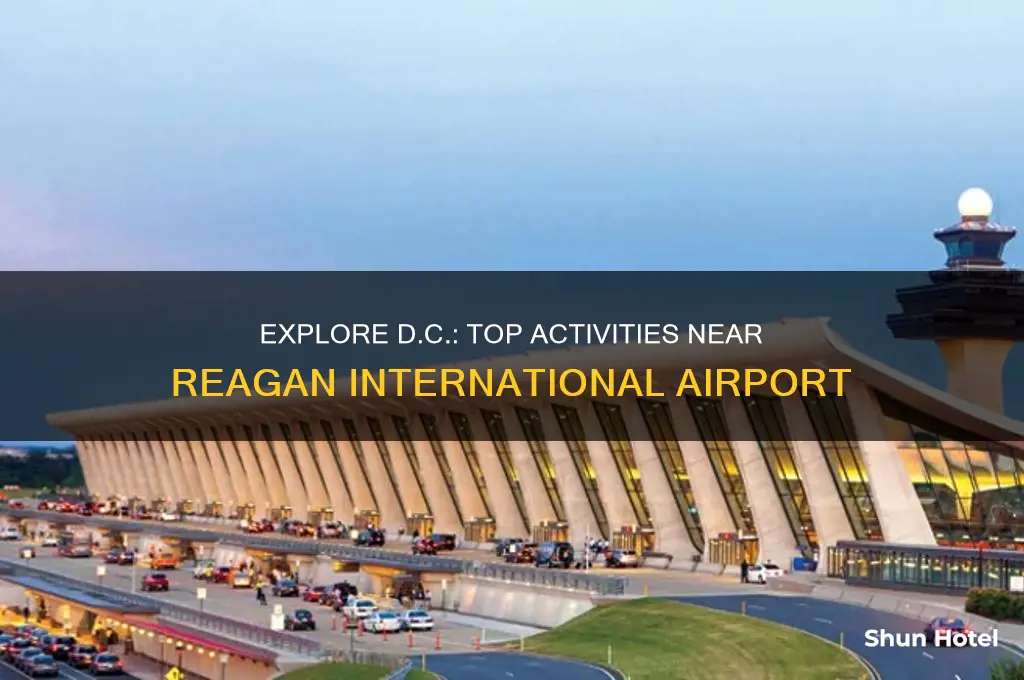 what to do near reagan international airport