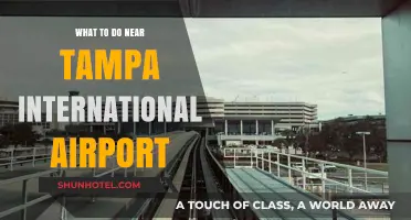 Explore Tampa: Top Attractions Near the International Airport