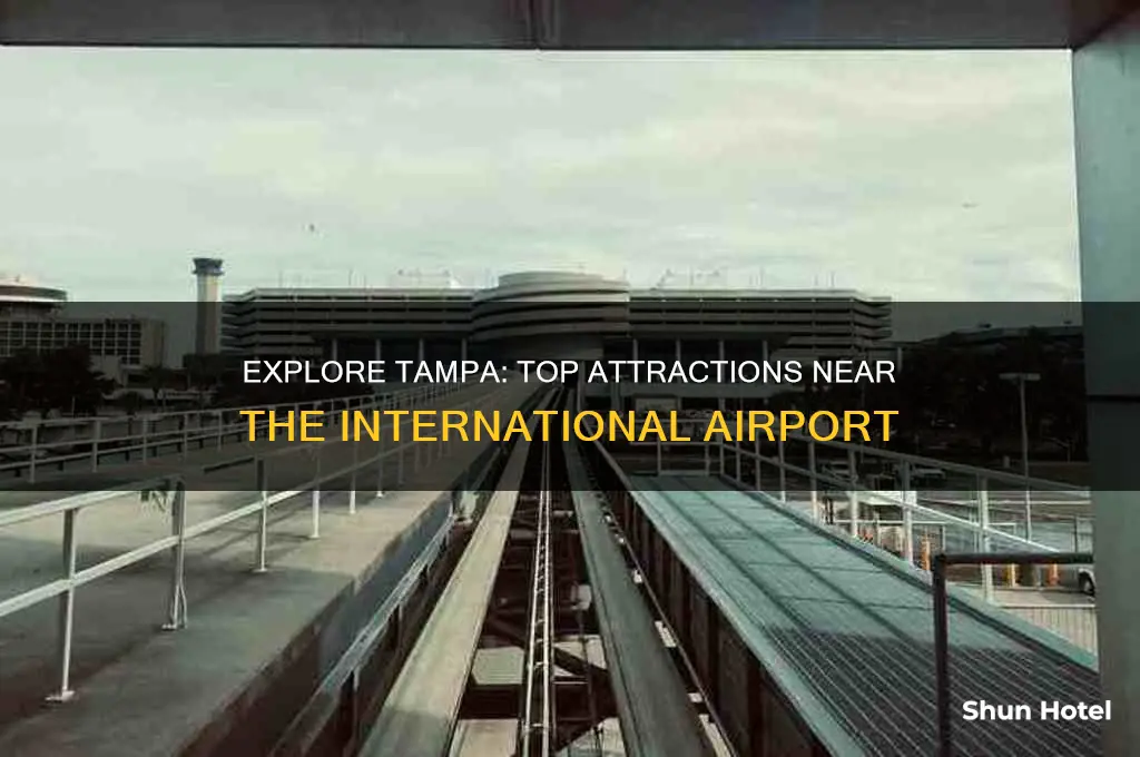 what to do near tampa international airport