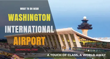 Explore DC: Top Activities Near Washington International Airport