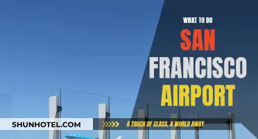 Exploring San Francisco: A Layover's Guide to SFO