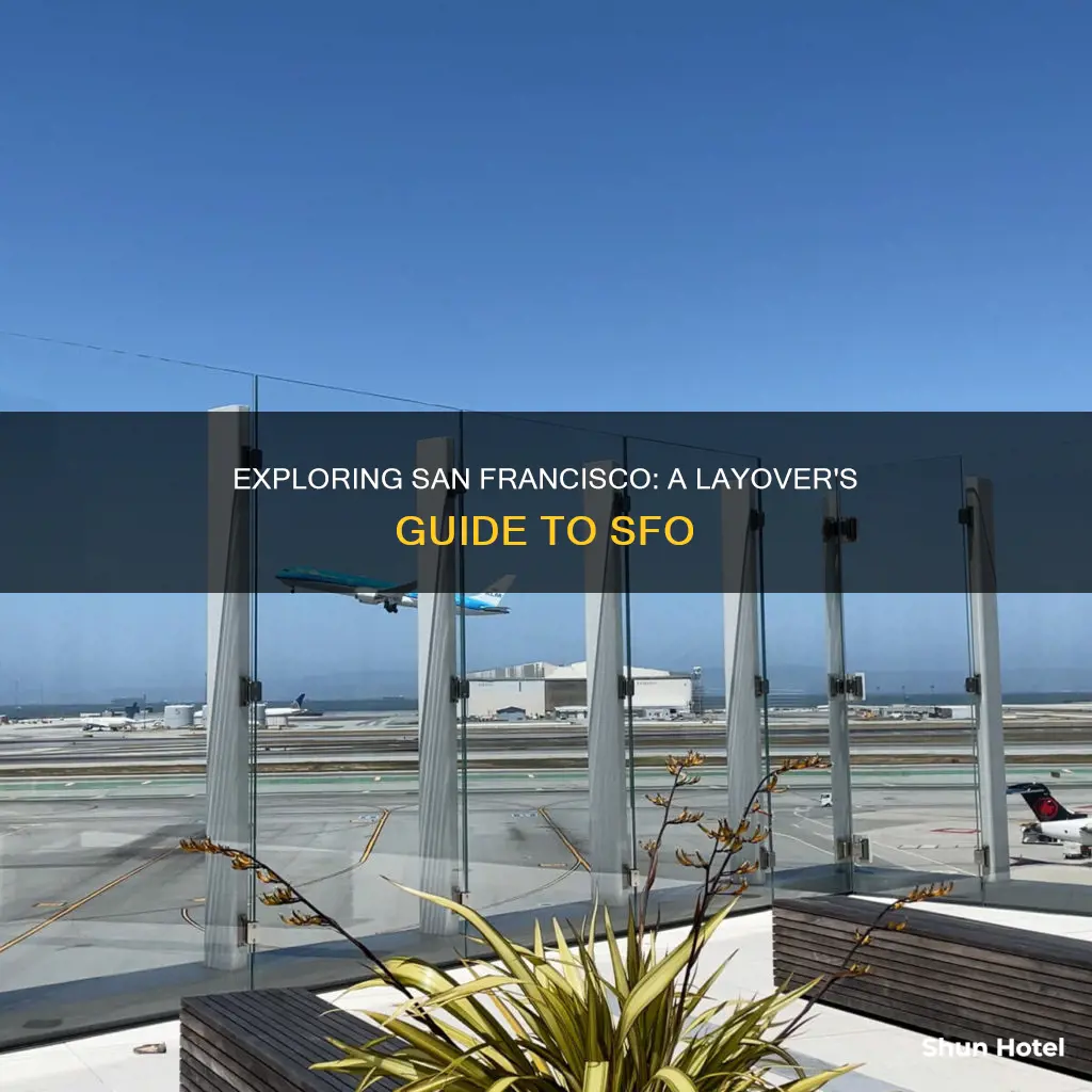 what to do san francisco airport