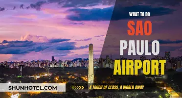 Sao Paulo Airport: Things to Do While Waiting