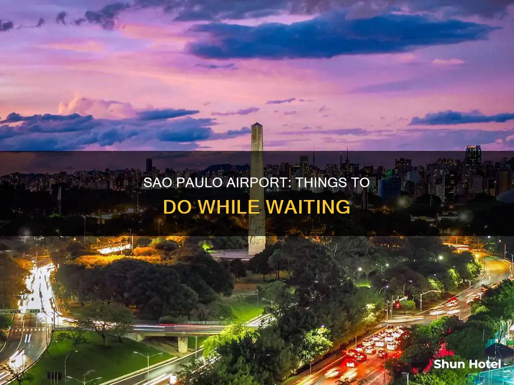 what to do sao paulo airport