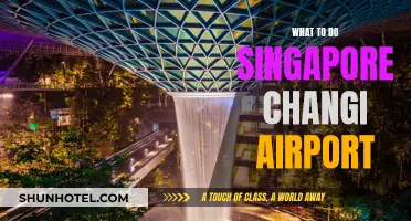 Explore Changi Airport: A Guide to Singapore's Hub