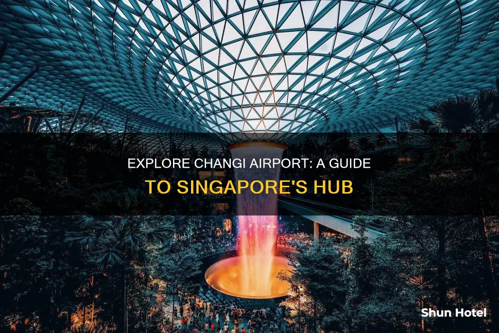what to do singapore changi airport