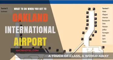 Arriving at Oakland International Airport: Essential Tips for a Smooth Visit