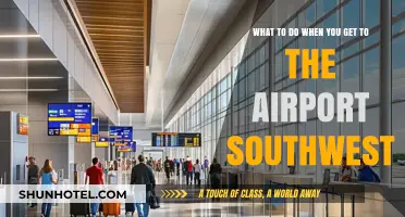Southwest Airport Guide: Essential Tips for a Smooth Arrival Experience