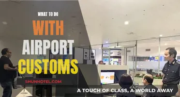 Navigating Airport Customs: A Traveler's Guide