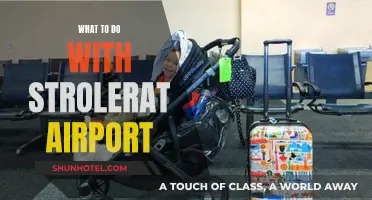 Exploring Travel Options: Strollers at the Airport
