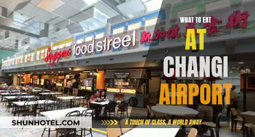 Explore Changi Airport's Best Food Delights