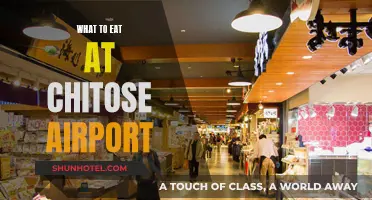 Explore Delicious Dining Options at Chitose Airport