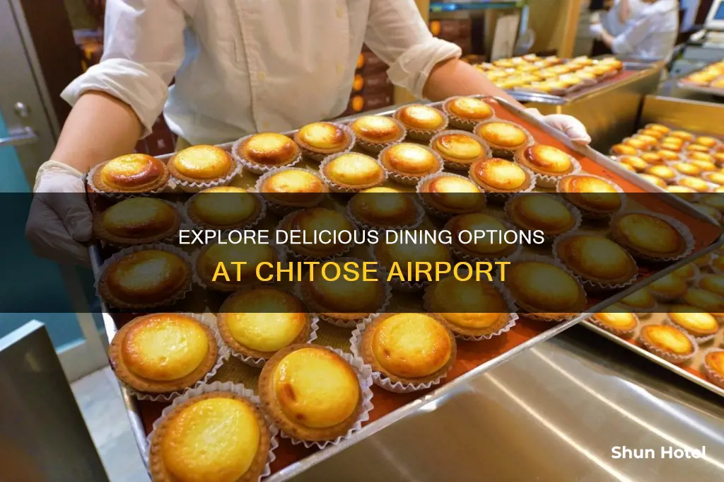 what to eat at chitose airport