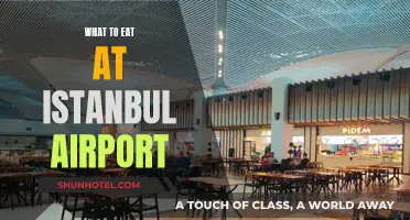 Istanbul Airport Food Guide: Best Places to Eat
