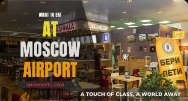 Exploring Moscow Airport's Culinary Delights