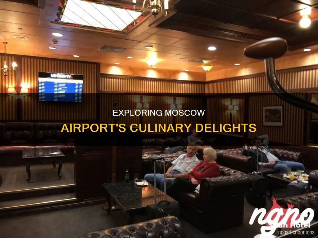 what to eat at moscow airport