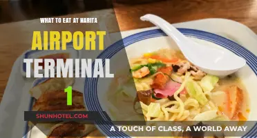 Savoring Narita: A Foodie's Guide to Terminal 1 Delights