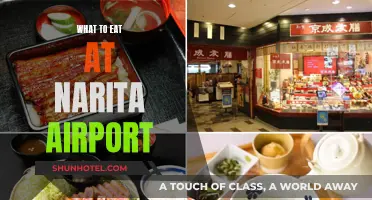 Narita Airport's Best Food Options