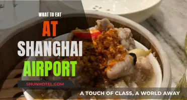 Shanghai Airport's Best Food Options