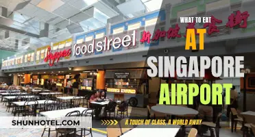 Singapore Airport's Best Food Delights
