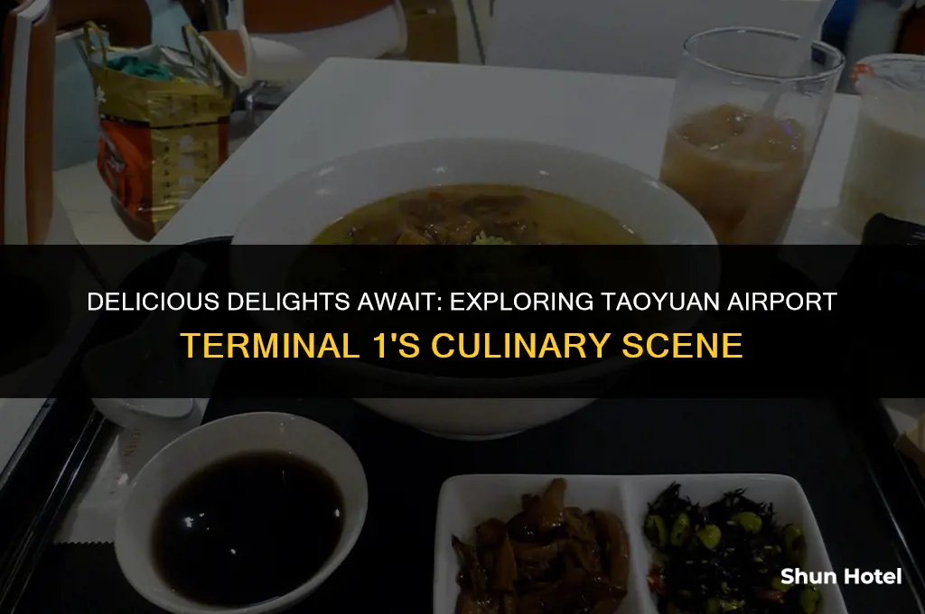 what to eat at taoyuan airport terminal 1