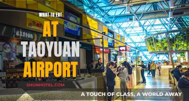 Explore Taoyuan Airport's Best Dining Options