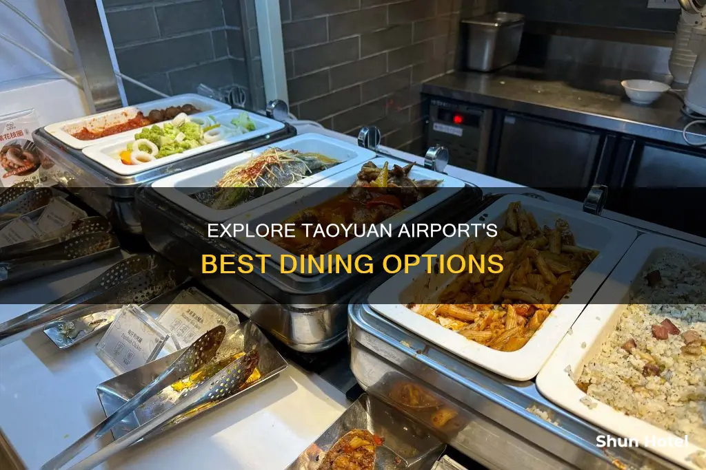 what to eat at taoyuan airport